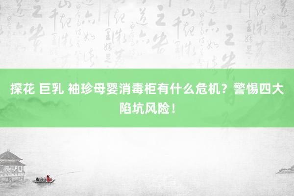 探花 巨乳 袖珍母婴消毒柜有什么危机？警惕四大陷坑风险！