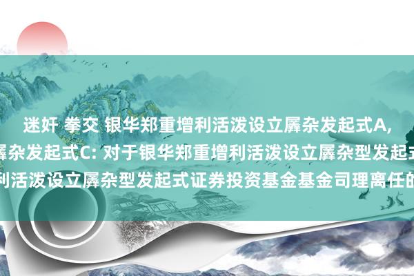 迷奸 拳交 银华郑重增利活泼设立羼杂发起式A,银华郑重增利活泼设立羼杂发起式C: 对于银华郑重增利活泼设立羼杂型发起式证券投资基金基金司理离任的公告