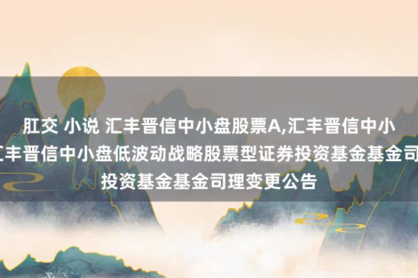肛交 小说 汇丰晋信中小盘股票A,汇丰晋信中小盘股票C: 汇丰晋信中小盘低波动战略股票型证券投资基金基金司理变更公告