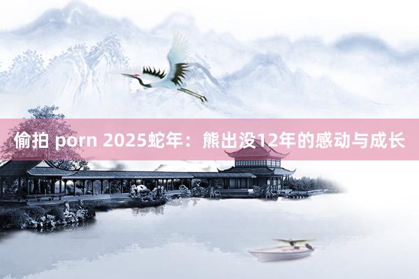 偷拍 porn 2025蛇年:熊出没12年的感动与成长