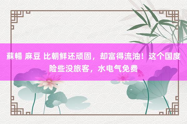 蘇暢 麻豆 比朝鲜还顽固，却富得流油！这个国度险些没旅客，水电气免费