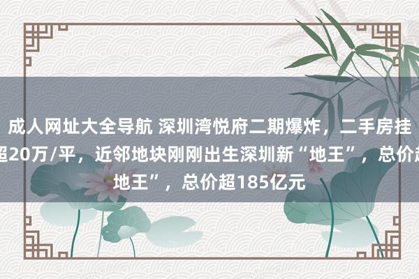 成人网址大全导航 深圳湾悦府二期爆炸，二手房挂牌价大宗超20万/平，近邻地块刚刚出生深圳新“地王”，总价超185亿元