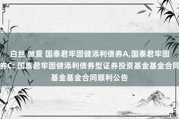 白丝 做爱 国泰君牢固健添利债券A,国泰君牢固健添利债券C: 国泰君牢固健添利债券型证券投资基金基金合同顺利公告