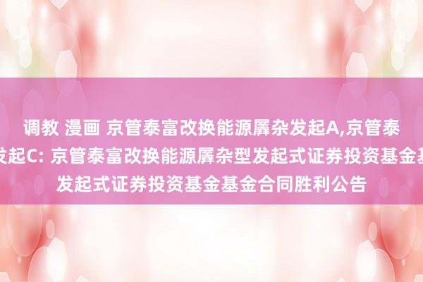 调教 漫画 京管泰富改换能源羼杂发起A,京管泰富改换能源羼杂发起C: 京管泰富改换能源羼杂型发起式证券投资基金基金合同胜利公告