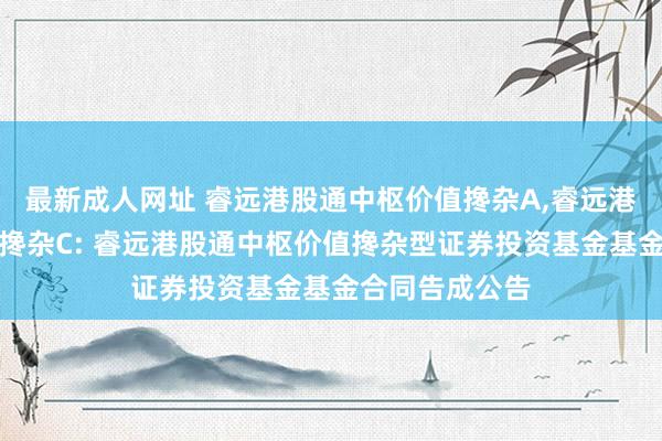 最新成人网址 睿远港股通中枢价值搀杂A,睿远港股通中枢价值搀杂C: 睿远港股通中枢价值搀杂型证券投资基金基金合同告成公告