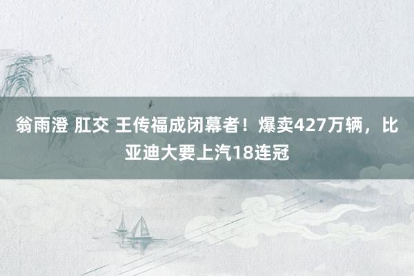 翁雨澄 肛交 王传福成闭幕者！爆卖427万辆，比亚迪大要上汽18连冠