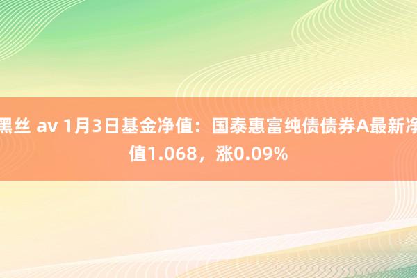 黑丝 av 1月3日基金净值：国泰惠富纯债债券A最新净值1.068，涨0.09%