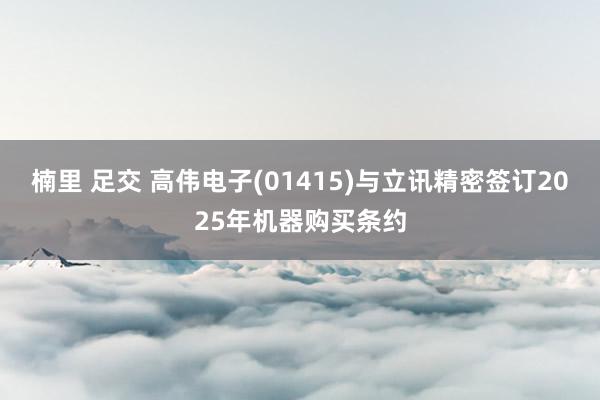 楠里 足交 高伟电子(01415)与立讯精密签订2025年机器购买条约