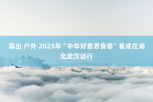 露出 户外 2025年“中华好意思食荟”看成在湖北武汉运行