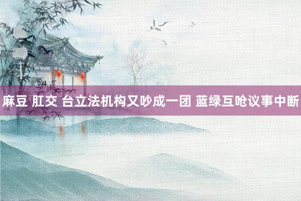 麻豆 肛交 台立法机构又吵成一团 蓝绿互呛议事中断