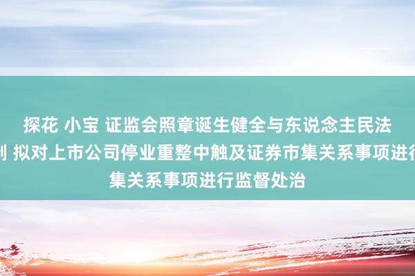 探花 小宝 证监会照章诞生健全与东说念主民法院互助机制 拟对上市公司停业重整中触及证券市集关系事项进行监督处治