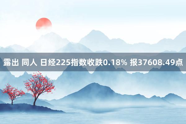 露出 同人 日经225指数收跌0.18% 报37608.49点