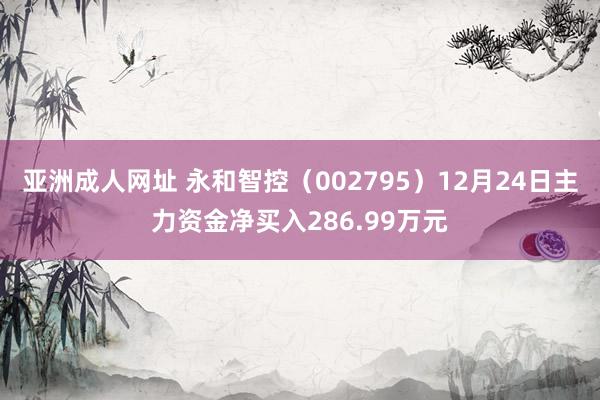亚洲成人网址 永和智控（002795）12月24日主力资金净买入286.99万元