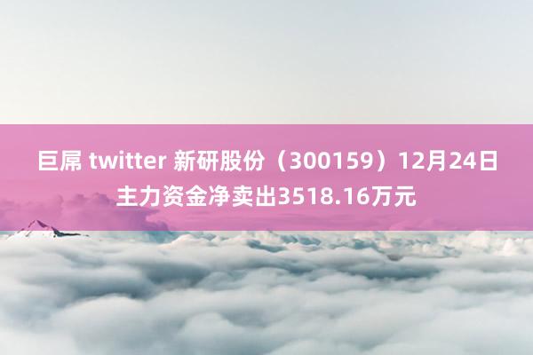巨屌 twitter 新研股份（300159）12月24日主力资金净卖出3518.16万元