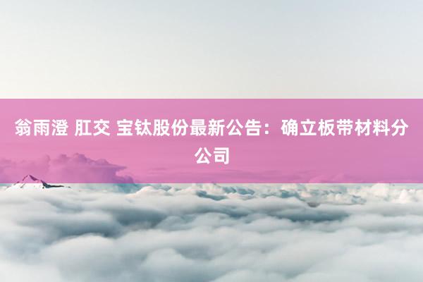 翁雨澄 肛交 宝钛股份最新公告：确立板带材料分公司