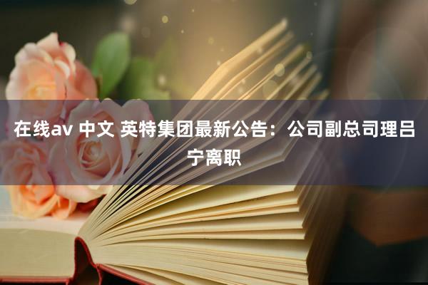 在线av 中文 英特集团最新公告：公司副总司理吕宁离职