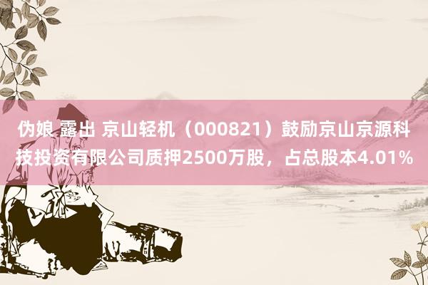 伪娘 露出 京山轻机（000821）鼓励京山京源科技投资有限公司质押2500万股，占总股本4.01%
