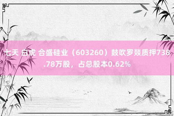 七天 白虎 合盛硅业（603260）鼓吹罗燚质押738.78万股，占总股本0.62%