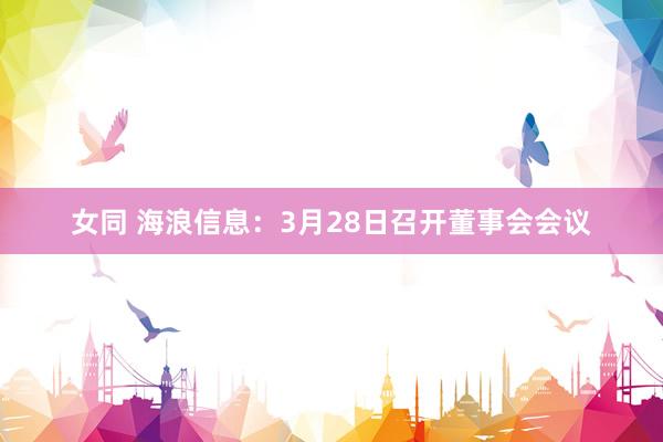 女同 海浪信息：3月28日召开董事会会议
