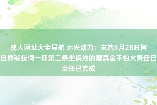 成人网址大全导航 远兴动力：末端3月28日阿拉善自然碱技俩一期第二条坐褥线的磨真金不怕火责任已完成