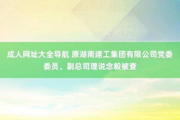 成人网址大全导航 原湖南建工集团有限公司党委委员、副总司理说念毅被查