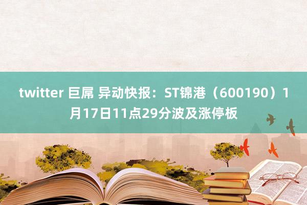 twitter 巨屌 异动快报：ST锦港（600190）1月17日11点29分波及涨停板