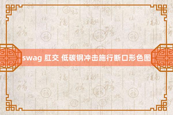 swag 肛交 低碳钢冲击施行断口形色图