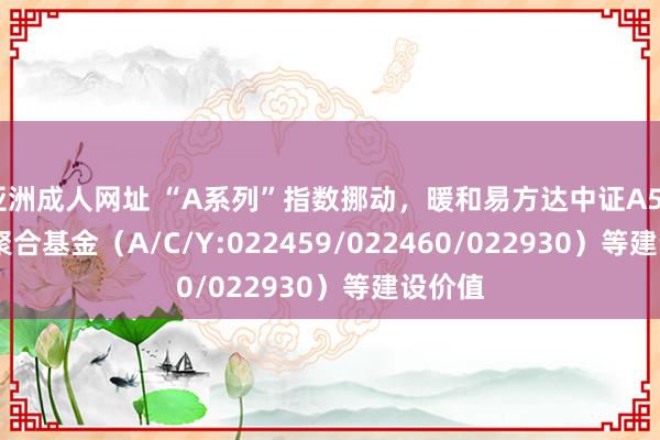 亚洲成人网址 “A系列”指数挪动，暖和易方达中证A500ETF聚合基金（A/C/Y:022459/022460/022930）等建设价值