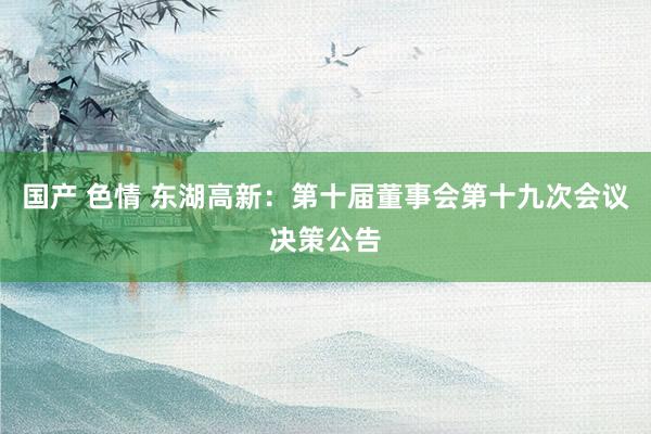 国产 色情 东湖高新：第十届董事会第十九次会议决策公告