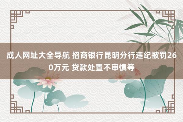 成人网址大全导航 招商银行昆明分行违纪被罚260万元 贷款处置不审慎等