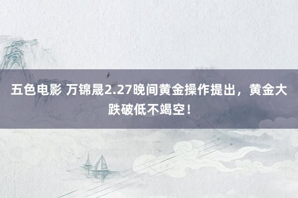 五色电影 万锦晟2.27晚间黄金操作提出，黄金大跌破低不竭空！
