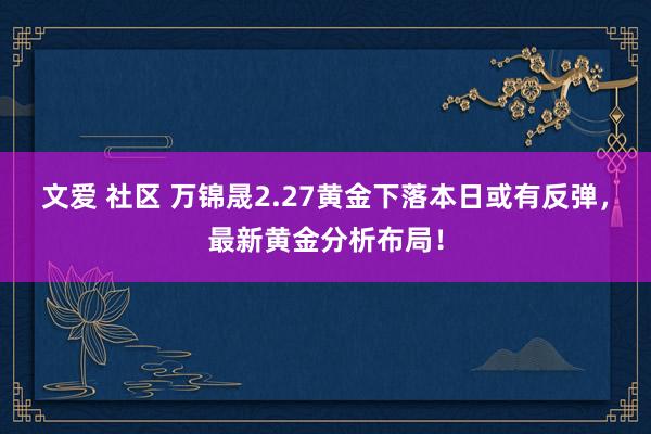 文爱 社区 万锦晟2.27黄金下落本日或有反弹，最新黄金分析布局！