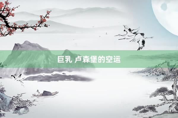 巨乳 卢森堡的空运