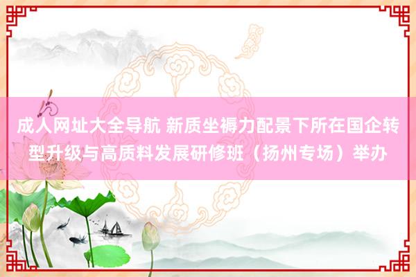 成人网址大全导航 新质坐褥力配景下所在国企转型升级与高质料发展研修班（扬州专场）举办