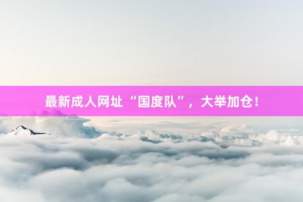 最新成人网址 “国度队”，大举加仓！