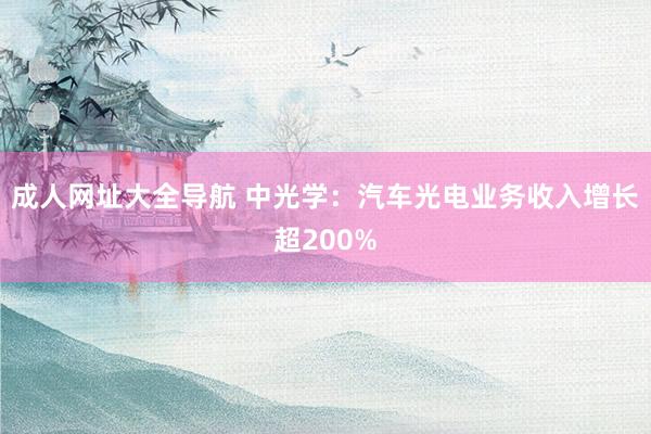 成人网址大全导航 中光学：汽车光电业务收入增长超200%