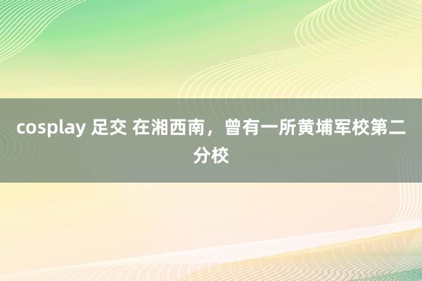 cosplay 足交 在湘西南，曾有一所黄埔军校第二分校