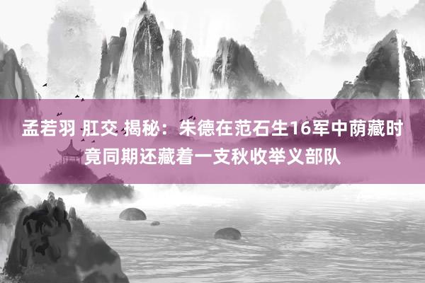 孟若羽 肛交 揭秘：朱德在范石生16军中荫藏时竟同期还藏着一支秋收举义部队
