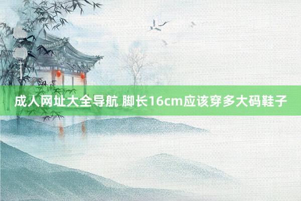 成人网址大全导航 脚长16cm应该穿多大码鞋子