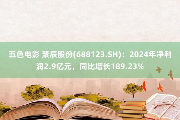 五色电影 聚辰股份(688123.SH)：2024年净利润2.9亿元，同比增长189.23%