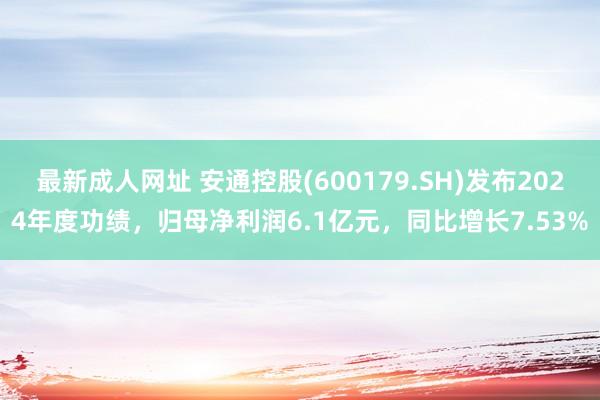 最新成人网址 安通控股(600179.SH)发布2024年度功绩，归母净利润6.1亿元，同比增长7.53%