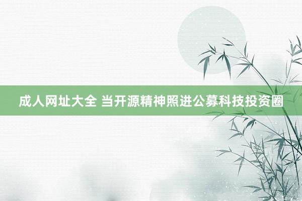成人网址大全 当开源精神照进公募科技投资圈