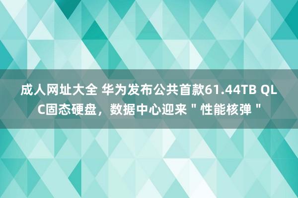 成人网址大全 华为发布公共首款61.44TB QLC固态硬盘，数据中心迎来＂性能核弹＂