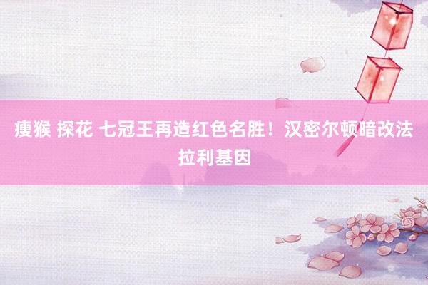 瘦猴 探花 七冠王再造红色名胜！汉密尔顿暗改法拉利基因