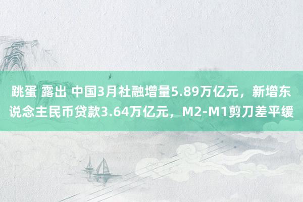 跳蛋 露出 中国3月社融增量5.89万亿元，新增东说念主民币贷款3.64万亿元，M2-M1剪刀差平缓