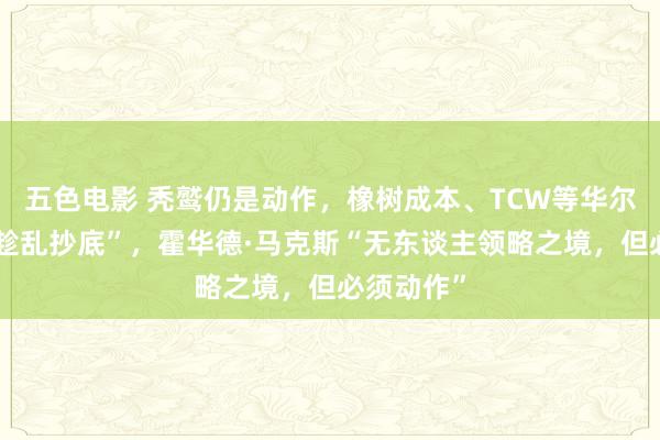 五色电影 秃鹫仍是动作，橡树成本、TCW等华尔街基金“趁乱抄底”，霍华德·马克斯“无东谈主领略之境，但必须动作”