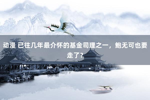 动漫 已往几年最介怀的基金司理之一，鲍无可也要走了？