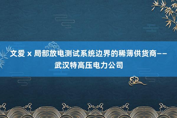 文爱 x 局部放电测试系统边界的稀薄供货商——武汉特高压电力公司