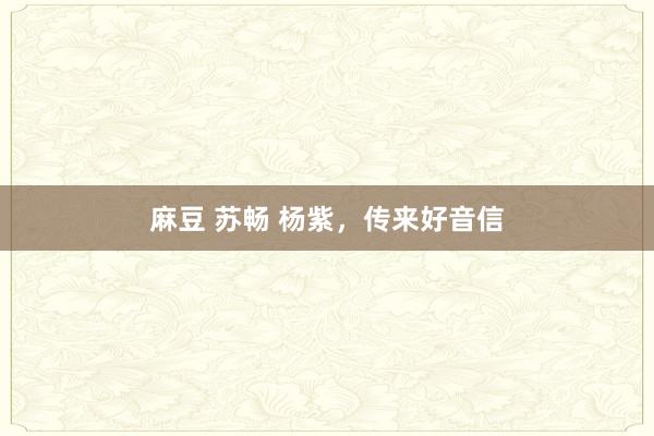 麻豆 苏畅 杨紫，传来好音信