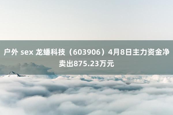 户外 sex 龙蟠科技（603906）4月8日主力资金净卖出875.23万元